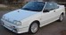R19 Cabrio category icon/image